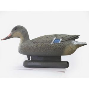 Кряква утка