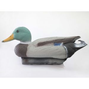 Кряква селезень