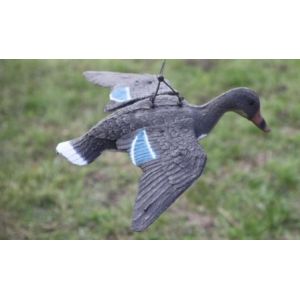 Кряква парящая утка