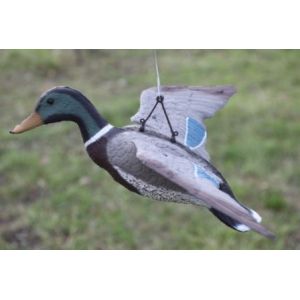 Кряква парящая селезень чучела