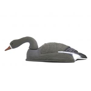 Гусь Белолобый кормящийся чучела