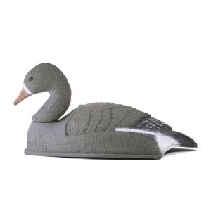 Гусь Белолобый отдыхающий чучела