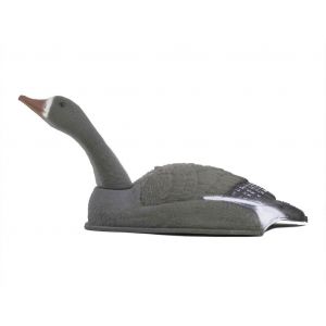 Гусь Белолобый курлыкающий чучела