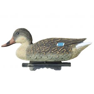 Кряква утка