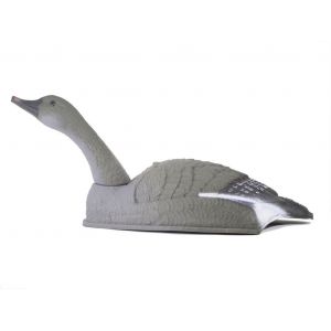 Гусь Гуменник курлыкающий