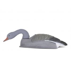 Гусь Серый кормящийся