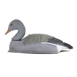 Гусь Серый отдыхающий