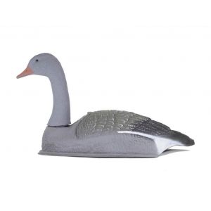 Гусь Серый сторожевой