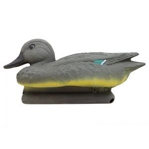 Чирок свистунок утка чучела