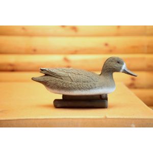 Шилохвость утка чучела для охоты