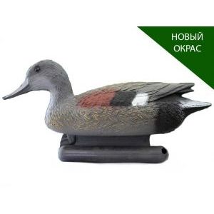 Чучела селезня серой утки