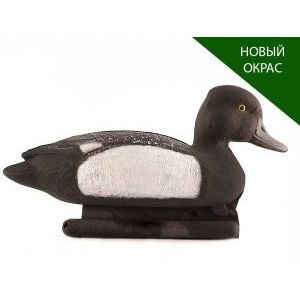 Чернеть хохлатая селезень чучела