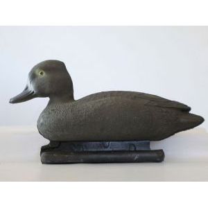 Чернеть морская утка чучела