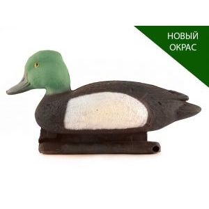 Чернеть морская селезень чучела