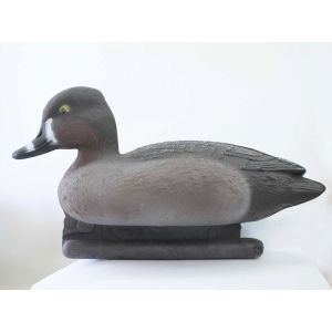 Красноголовый нырок утка чучела