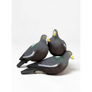 Чучела голубь лесной