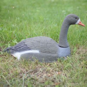 Комплект гусей Белолобых 10 шт